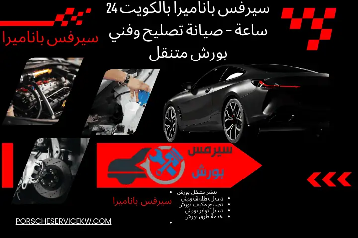 خدمة سيرفس باناميرا